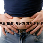 비만도(BMI) 계산과 자가 진단 방법: 건강한 체중을 위한 가이드